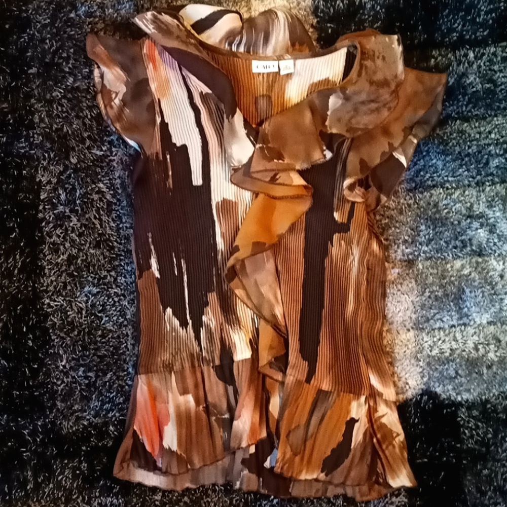 Pretty pleated ruffle blouse
